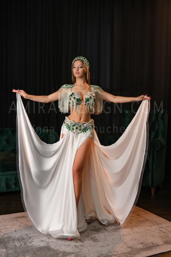 Professional bellydance costume (Classic 257 A_1)
